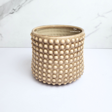 Load image into Gallery viewer, The Leaferie Bronwyn studded beige flowerpot. ceramic material