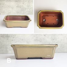 Load image into Gallery viewer, The Leaferie Petit Bonsai Series 4 . 3 colours rectangular  bonsai planter. Front view of all designs B