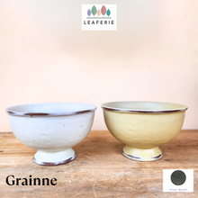Load image into Gallery viewer, Grainne Flowerpot