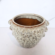 Load image into Gallery viewer, The Leaferie Meadow ceramic pot beige colour
