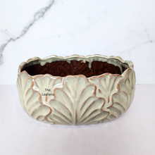 Load image into Gallery viewer, The Leaferie Jokinen Shallow flowerpot.ceramic materia