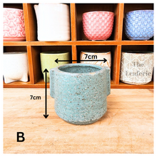 Load image into Gallery viewer, Petit Flowerpots (Series 7)