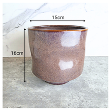 Load image into Gallery viewer, Sylvie Ceramic planter labeled 'Sylvie' on a gray surface with 'LEAFAERIE'