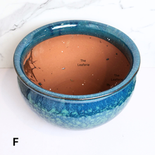 Load image into Gallery viewer, Albany Large Flowerpot (9 Designs)