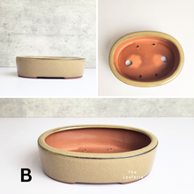 Load image into Gallery viewer, The Leaferie Petit Bonsai Series 14 . oval bonsai pot. 3 colours. ceramic . photo of design B