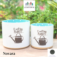 Load image into Gallery viewer, Novara Flowerpot