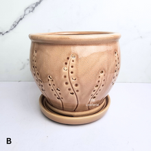 Load image into Gallery viewer, The Leaferie Liane orchid pot with holes and matching tray. ceramic material
