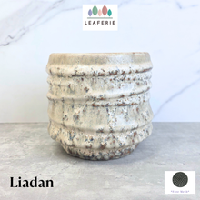 Load image into Gallery viewer, Liadan Flowerpot