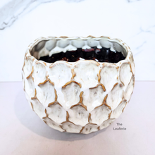 Load image into Gallery viewer, The Leaferie Eclipse ceramic Flowerpot