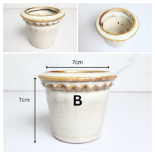 Load image into Gallery viewer, Petit Flowerpots (Series 16)