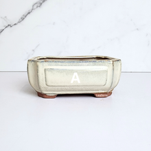 Load image into Gallery viewer, The Leaferie Bonsai Series 55 rectangular bonsai pots. ceramic material 6 colours