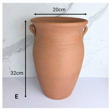 Load image into Gallery viewer, Elrias Terracotta Flowerpot (5 designs)