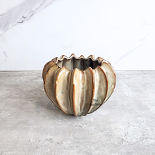 Load image into Gallery viewer, The Leaferie Jeroa beige flowerpot. ceramic material