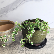 Load image into Gallery viewer, The Leaferie Pagona Pot. ceramic flowerpot with 2 designs