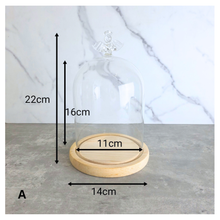 Load image into Gallery viewer, Angel Glass terrarium with a small plant on a wooden base, featuring the Leaferie brand.