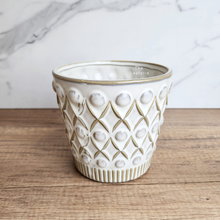 Load image into Gallery viewer, The Leaferie Nava white ceramic pot.