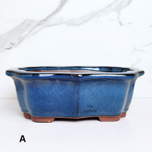Load image into Gallery viewer, The Leaferie Bonsai flowerpot Series 70 . 2 colours blue and green ceramic material