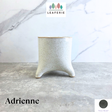 Load image into Gallery viewer, Adrienne Flowerpot