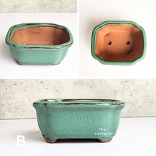 Load image into Gallery viewer, The Leaferie Petit bonsai series 2. 4 colours . ceramic pot. front view of design B
