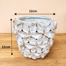 Load image into Gallery viewer, Handmade Bevin Flowerpot