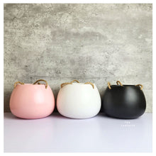 Load image into Gallery viewer, Lyon Hanging Flowerpot (Series 13) 3 Colors