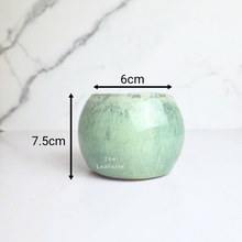 Load image into Gallery viewer, The Leaferie Petit Bonsai series 45. 5 colours ceramic pot for succulents