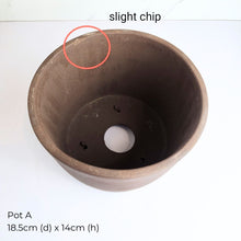 Load image into Gallery viewer, The Leaferie As-Is May 25 (9items). Defective flowerpot