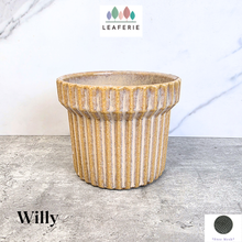 Load image into Gallery viewer, Willy Flowerpot
