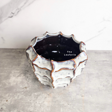 Load image into Gallery viewer, The Leaferie Jin FLowerpot. 2 designs grey and blue. ceramic material
