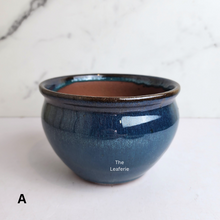 Load image into Gallery viewer, The Leaferie Aubrey shallow pot 2 designs ceramic pot