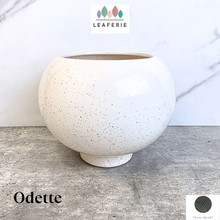 Load image into Gallery viewer, Odette Flowerpot