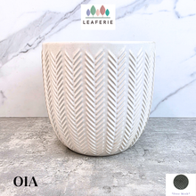 Load image into Gallery viewer, Oia Flowerpot