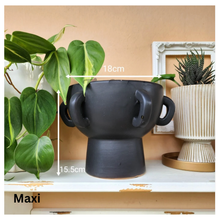 Load image into Gallery viewer, Lucca Pot (2 sizes)