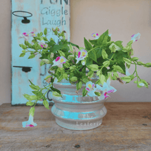 Load image into Gallery viewer, Tuiren Pot