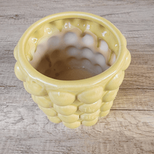 Load image into Gallery viewer, Sorcha Pot