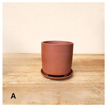 Load image into Gallery viewer, Noemie Mini Flowerpot (Series 1)