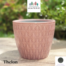 Load image into Gallery viewer, Thelon Flowerpot