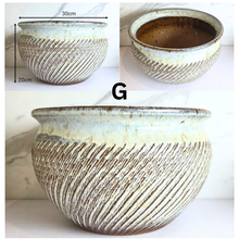 Load image into Gallery viewer, Albany Large Flowerpot (9 Designs)