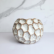 Load image into Gallery viewer, The Leaferie Deion Flowerpot. 2 colours black and white ceramic pot