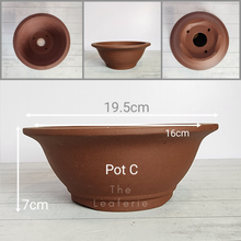 Load image into Gallery viewer, The Leaferie Tally Bonsai pot series 1 . 4 designs .front view o f Pot C