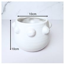 Load image into Gallery viewer, Salo Flowerpot
