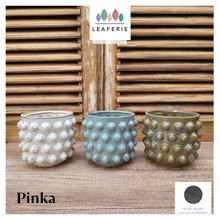 Load image into Gallery viewer, Pinka Flowerpot