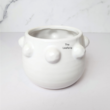 Load image into Gallery viewer, The Leaferie Salo white ceramic pot with studs.