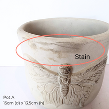 Load image into Gallery viewer, The Leaferie As-Is Pot April 25. 9 items