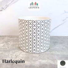 Load image into Gallery viewer, Harlequin Flowerpot