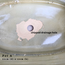 Load image into Gallery viewer, The Leaferie As-is Sale March 24. Pot A