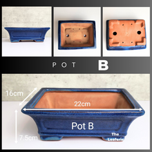 Load image into Gallery viewer, The Leaferie Tally Bonsai pot Series 3. large bonsai planter. design Pot B. blue colour