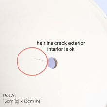 Load image into Gallery viewer, The Leaferie As-is Pot June 2025. 9 items