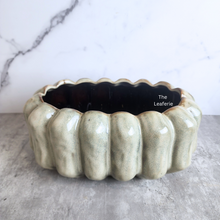 Load image into Gallery viewer, The Leaferie Sable shallow pot. ceramic material