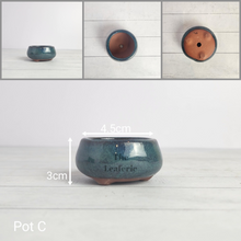 Load image into Gallery viewer, Petit Bonsai Pot (Series 5)